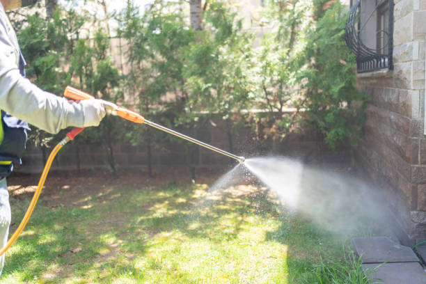 Best Pest Prevention Services  in USA